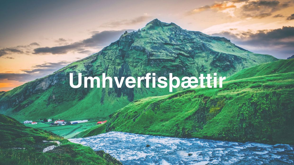 Umhverfisþættir