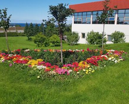 Veritas gets award for beautiful and well groomed property