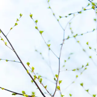 Shutterstock 2108751188 1