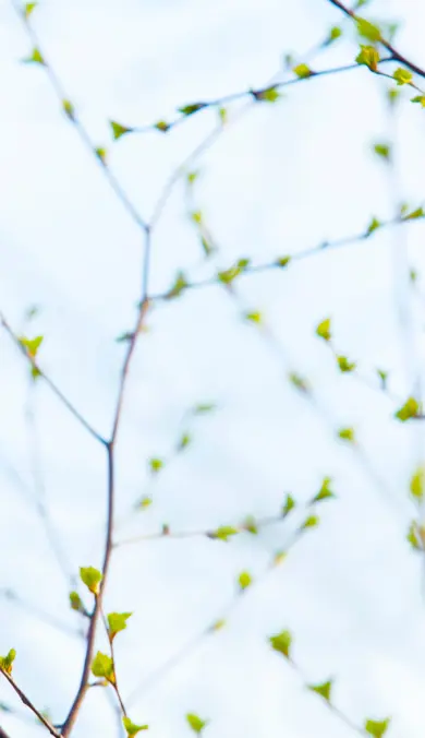 Shutterstock 2108751188