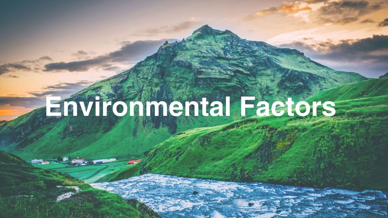 Environmental Factors